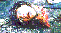 unosprfh.gif (13767 octets)